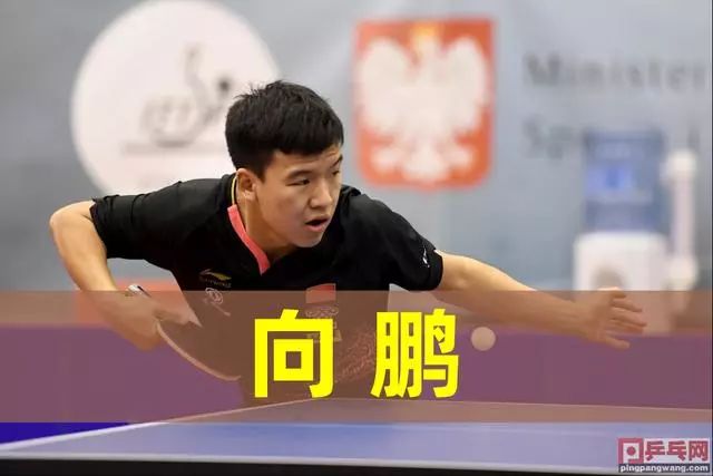 见的伤病 见的伤病