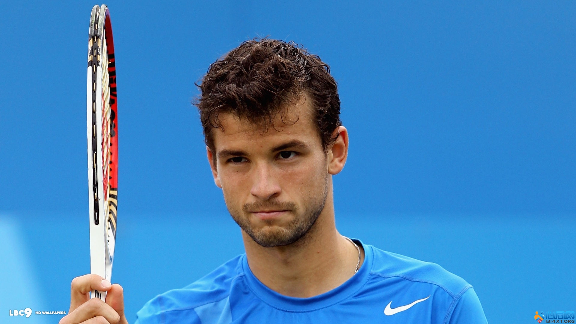 的情感与竞 的情感与竞